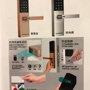 Dormakaba FSL-800 智慧門禁電子鎖